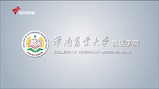 华南农业大学我院2021年宣传视频